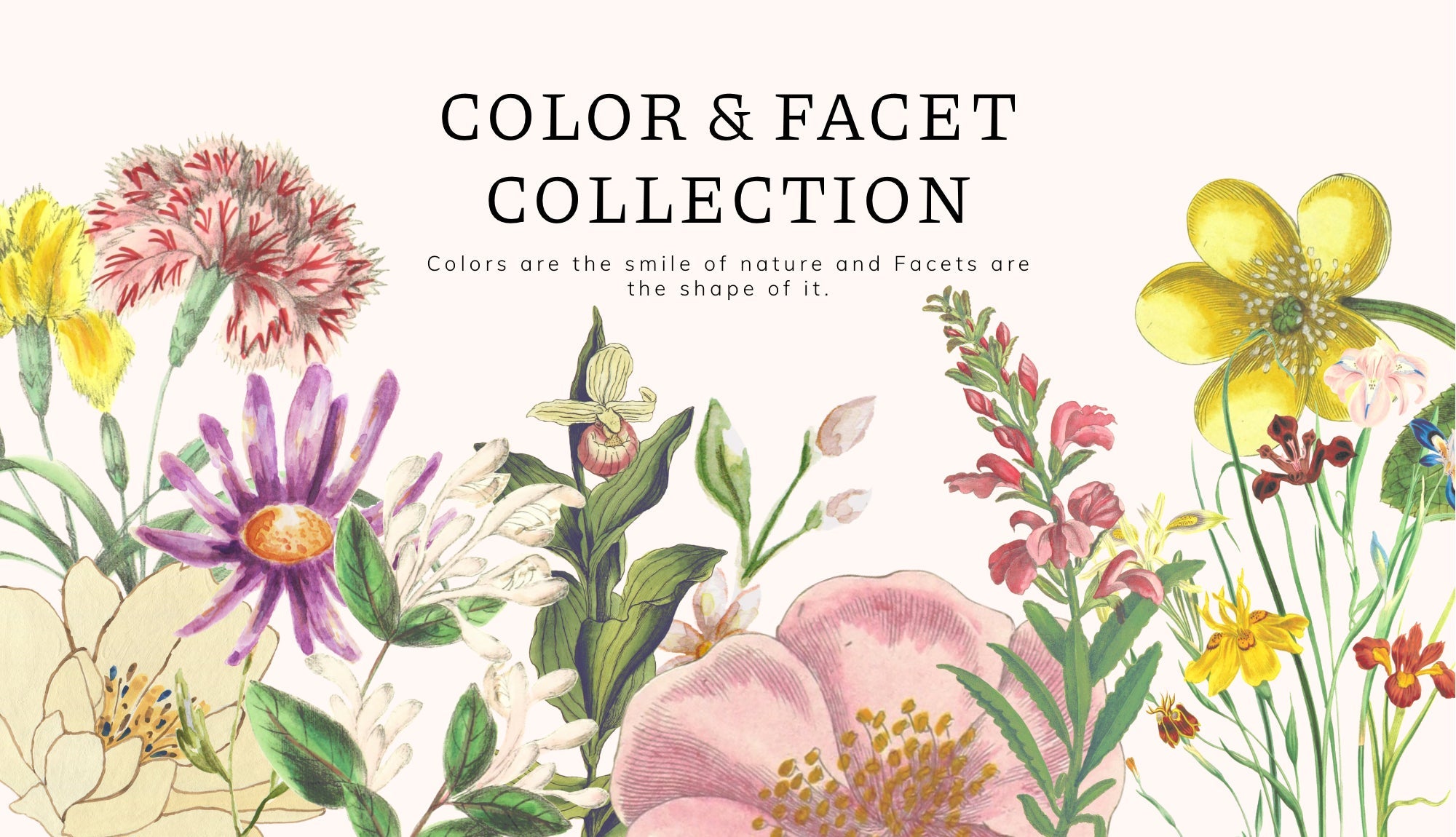 Color & Facet Collection